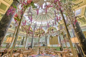 Giggling Squid Cardiff